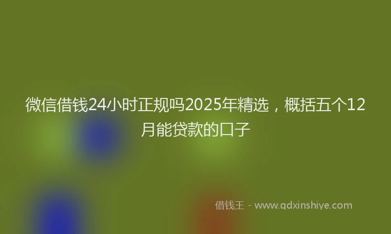 微信借钱24小时正规吗2025年精选，概括五个12月能贷款的口子