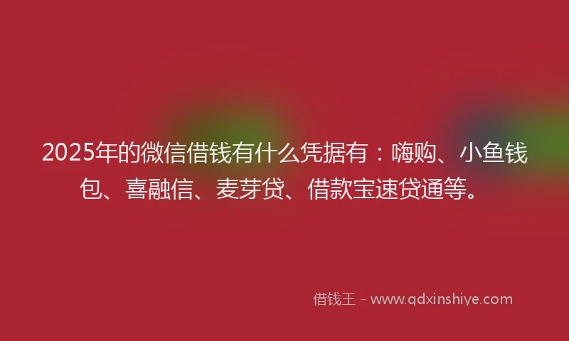 2025年的微信借钱有什么凭据有：嗨购、小鱼钱包、喜融信、麦芽贷、借款宝速贷通等。