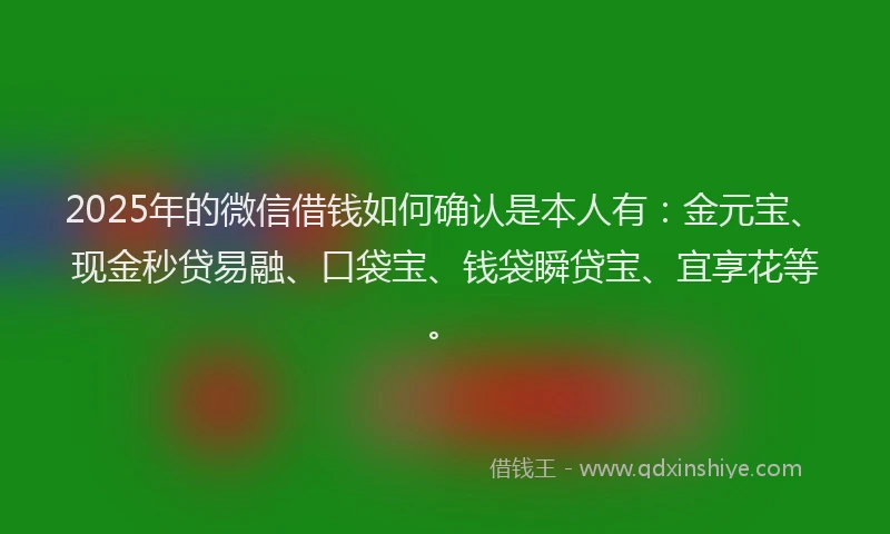 2025年的微信借钱如何确认是本人有：金元宝、现金秒贷易融、口袋宝、钱袋瞬贷宝、宜享花等。