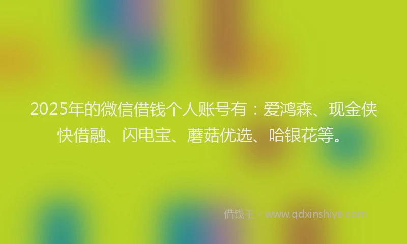 2025年的微信借钱个人账号有：爱鸿森、现金侠快借融、闪电宝、蘑菇优选、哈银花等。