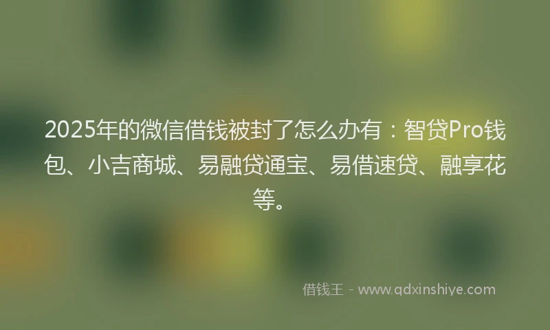 2025年的微信借钱被封了怎么办有：智贷Pro钱包、小吉商城、易融贷通宝、易借速贷、融享花等。
