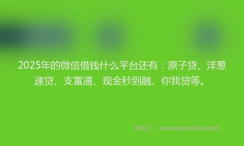 2025年的微信借钱什么平台还有：原子贷、洋葱速贷、支富通、现金秒到融、你我贷等。
