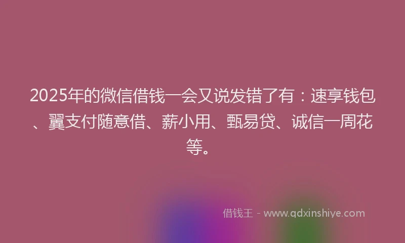 2025年的微信借钱一会又说发错了有：速享钱包、翼支付随意借、薪小用、甄易贷、诚信一周花等。
