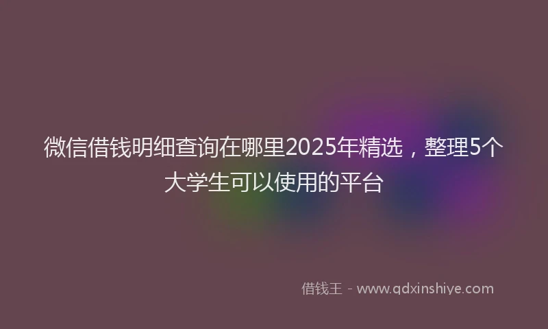 微信借钱明细查询在哪里2025年精选，整理5个大学生可以使用的平台