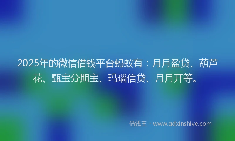2025年的微信借钱平台蚂蚁有：月月盈贷、葫芦花、甄宝分期宝、玛瑙信贷、月月开等。