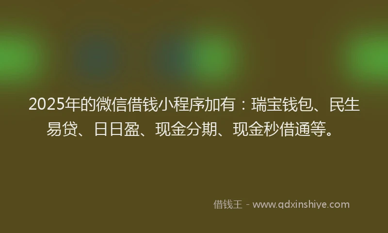 2025年的微信借钱小程序加有：瑞宝钱包、民生易贷、日日盈、现金分期、现金秒借通等。