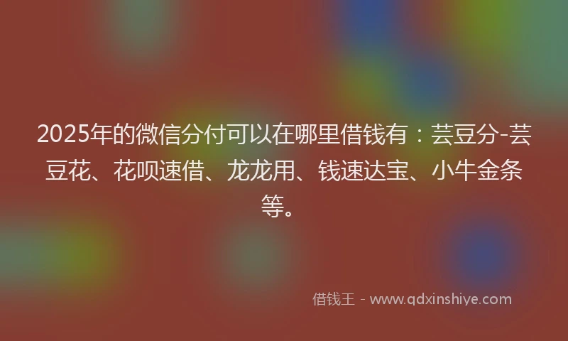 2025年的微信分付可以在哪里借钱有：芸豆分-芸豆花、花呗速借、龙龙用、钱速达宝、小牛金条等。