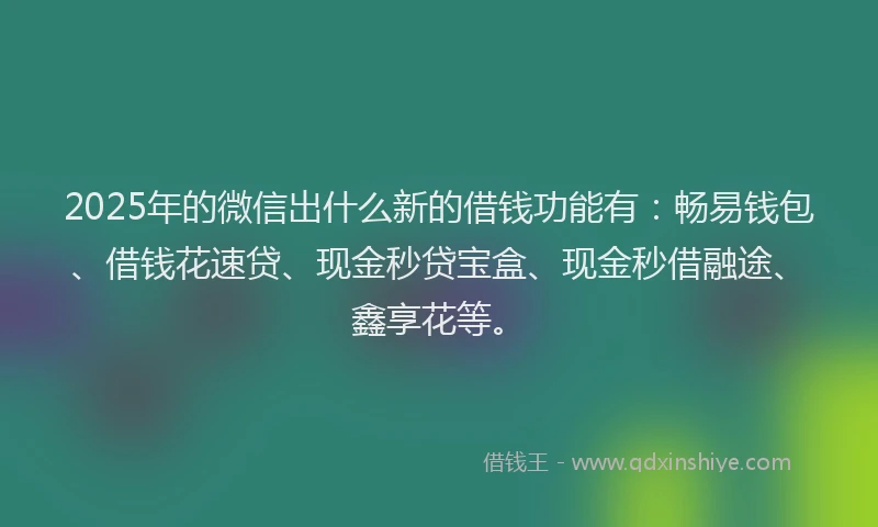 2025年的微信出什么新的借钱功能有：畅易钱包、借钱花速贷、现金秒贷宝盒、现金秒借融途、鑫享花等。