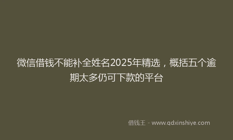 微信借钱不能补全姓名2025年精选，概括五个逾期太多仍可下款的平台