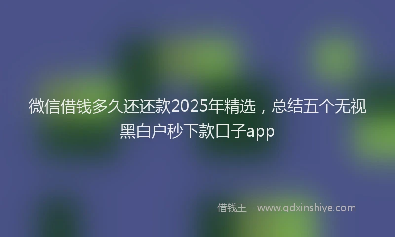 微信借钱多久还还款2025年精选，总结五个无视黑白户秒下款口子app