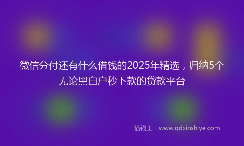微信分付还有什么借钱的2025年精选，归纳5个无论黑白户秒下款的贷款平台
