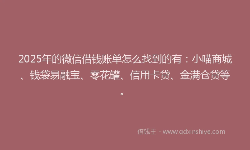 2025年的微信借钱账单怎么找到的有：小喵商城、钱袋易融宝、零花罐、信用卡贷、金满仓贷等。