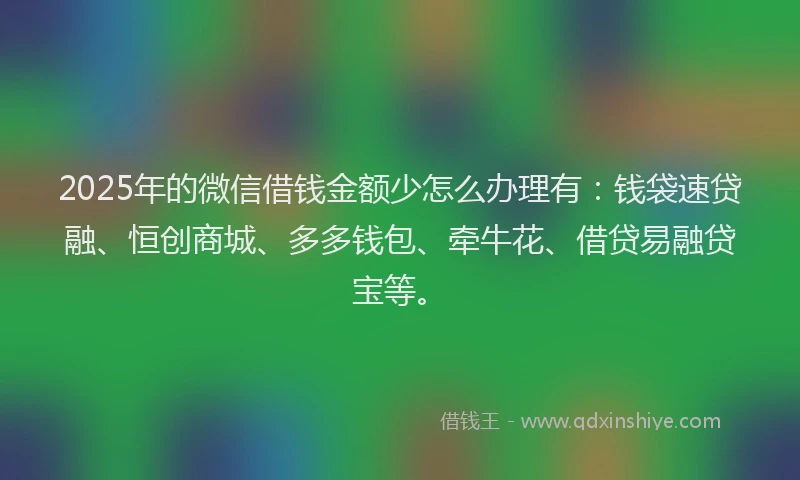 2025年的微信借钱金额少怎么办理有：钱袋速贷融、恒创商城、多多钱包、牵牛花、借贷易融贷宝等。