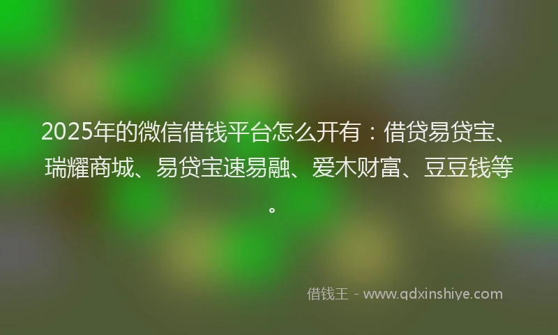 2025年的微信借钱平台怎么开有：借贷易贷宝、瑞耀商城、易贷宝速易融、爱木财富、豆豆钱等。