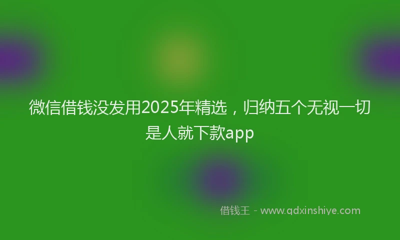 微信借钱没发用2025年精选，归纳五个无视一切是人就下款app
