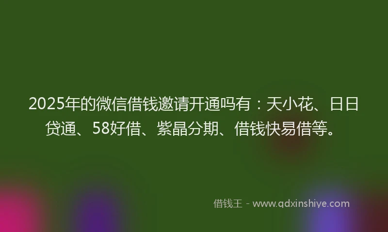 2025年的微信借钱邀请开通吗有：天小花、日日贷通、58好借、紫晶分期、借钱快易借等。
