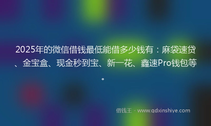 2025年的微信借钱最低能借多少钱有：麻袋速贷、金宝盒、现金秒到宝、新一花、鑫速Pro钱包等。
