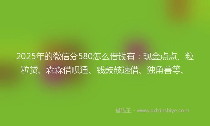 2025年的微信分580怎么借钱有：现金点点、粒粒贷、森森借呗通、钱鼓鼓速借、独角兽等。