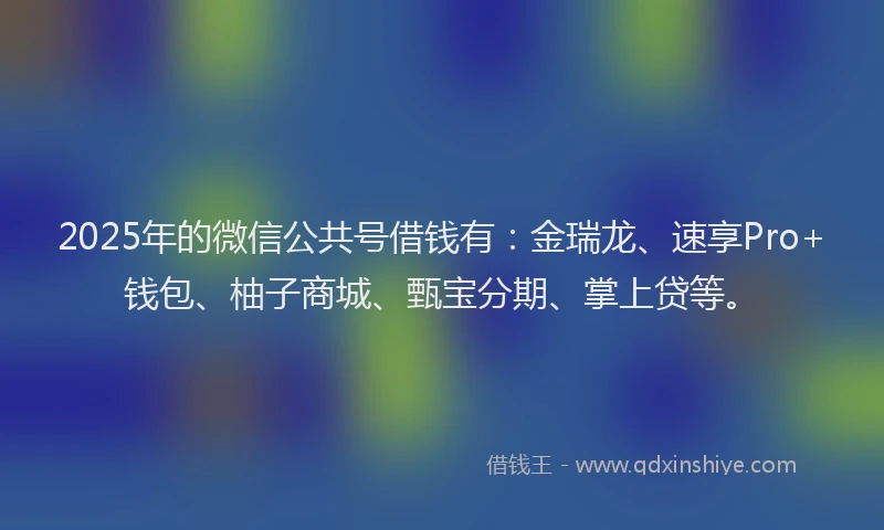 2025年的微信公共号借钱有：金瑞龙、速享Pro+钱包、柚子商城、甄宝分期、掌上贷等。