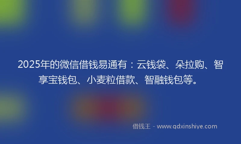2025年的微信借钱易通有：云钱袋、朵拉购、智享宝钱包、小麦粒借款、智融钱包等。