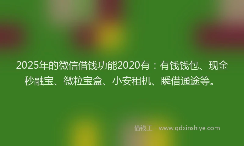 2025年的微信借钱功能2020有：有钱钱包、现金秒融宝、微粒宝盒、小安租机、瞬借通途等。