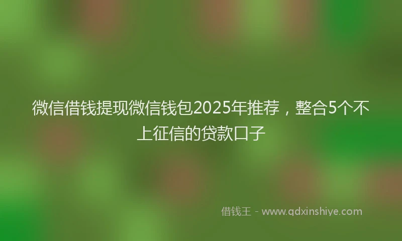 微信借钱提现微信钱包2025年推荐，整合5个不上征信的贷款口子