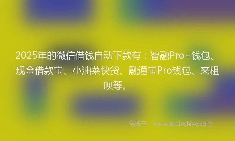 2025年的微信借钱自动下款有：智融Pro+钱包、现金借款宝、小油菜快贷、融通宝Pro钱包、来租呗等。