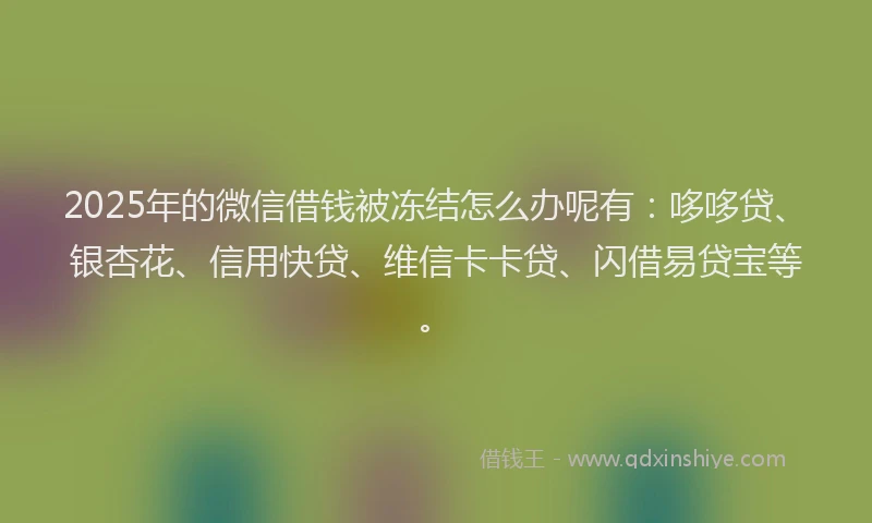 2025年的微信借钱被冻结怎么办呢有：哆哆贷、银杏花、信用快贷、维信卡卡贷、闪借易贷宝等。