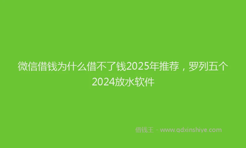 微信借钱为什么借不了钱2025年推荐，罗列五个2024放水软件