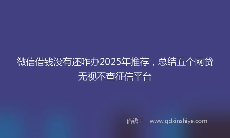 微信借钱没有还咋办2025年推荐，总结五个网贷无视不查征信平台