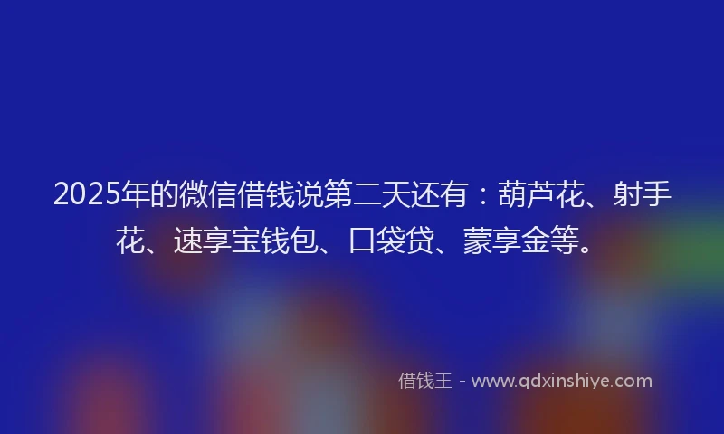 2025年的微信借钱说第二天还有：葫芦花、射手花、速享宝钱包、口袋贷、蒙享金等。