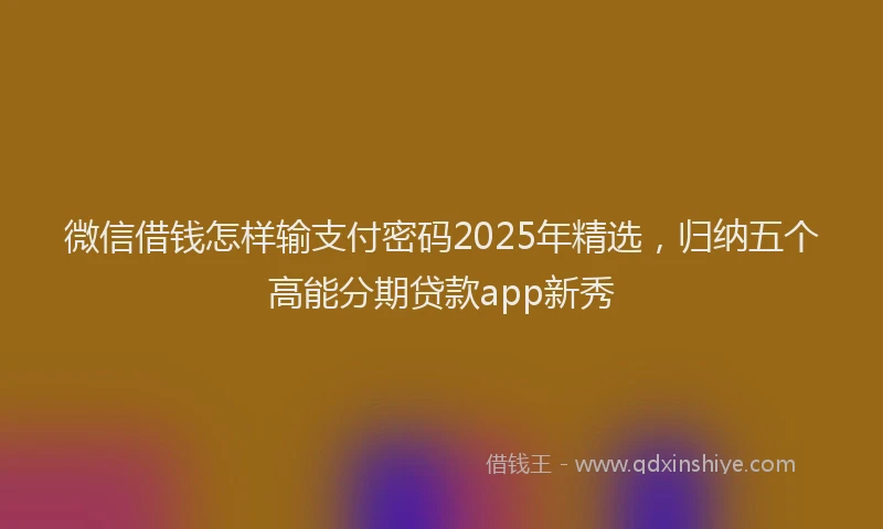 微信借钱怎样输支付密码2025年精选，归纳五个高能分期贷款app新秀