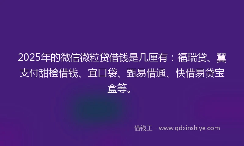 2025年的微信微粒贷借钱是几厘有：福瑞贷、翼支付甜橙借钱、宜口袋、甄易借通、快借易贷宝盒等。