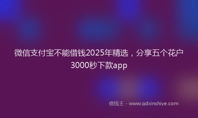 微信支付宝不能借钱2025年精选，分享五个花户3000秒下款app