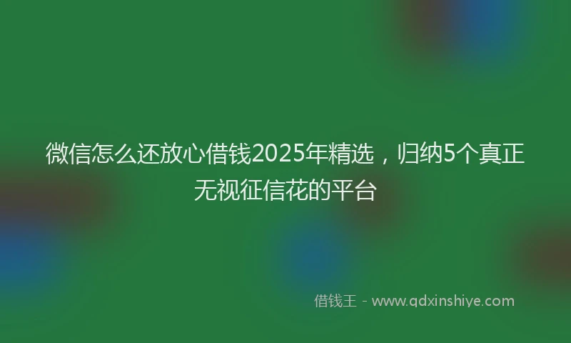 微信怎么还放心借钱2025年精选，归纳5个真正无视征信花的平台