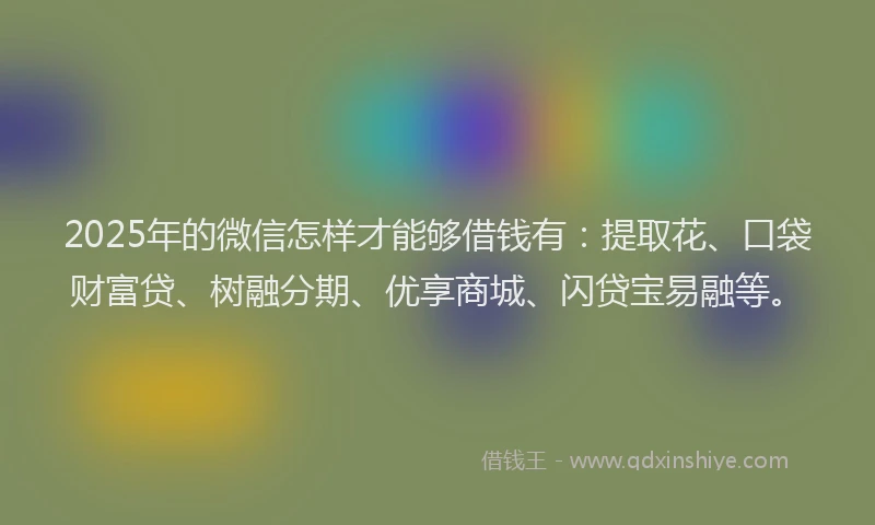 2025年的微信怎样才能够借钱有：提取花、口袋财富贷、树融分期、优享商城、闪贷宝易融等。