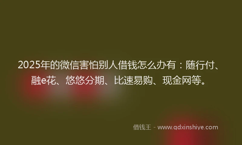2025年的微信害怕别人借钱怎么办有：随行付、融e花、悠悠分期、比速易购、现金网等。