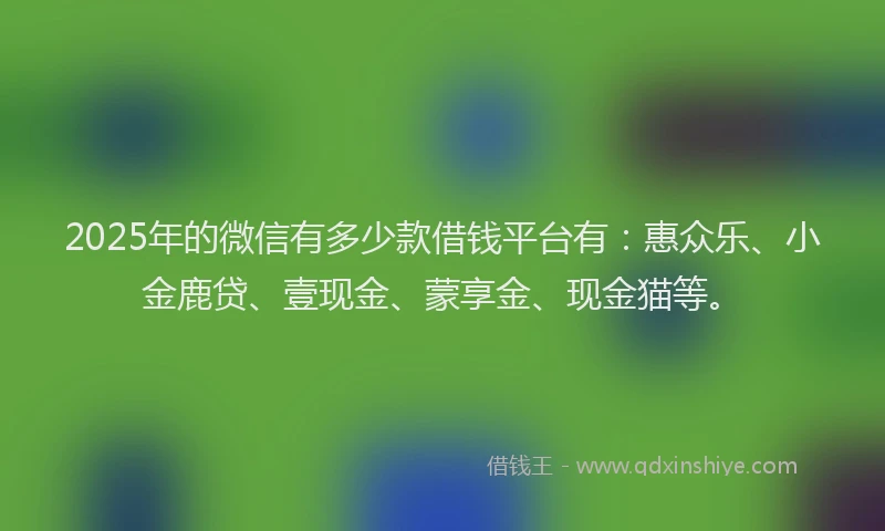 2025年的微信有多少款借钱平台有：惠众乐、小金鹿贷、壹现金、蒙享金、现金猫等。