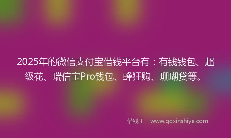 2025年的微信支付宝借钱平台有：有钱钱包、超级花、瑞信宝Pro钱包、蜂狂购、珊瑚贷等。