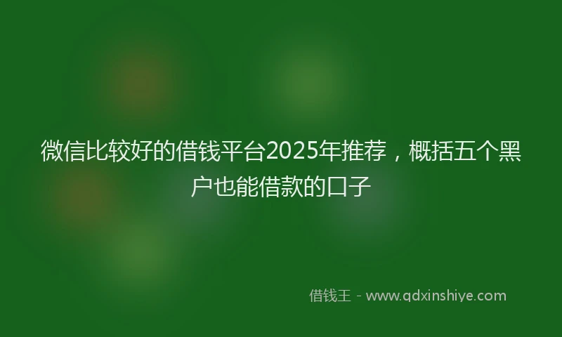 微信比较好的借钱平台2025年推荐，概括五个黑户也能借款的口子