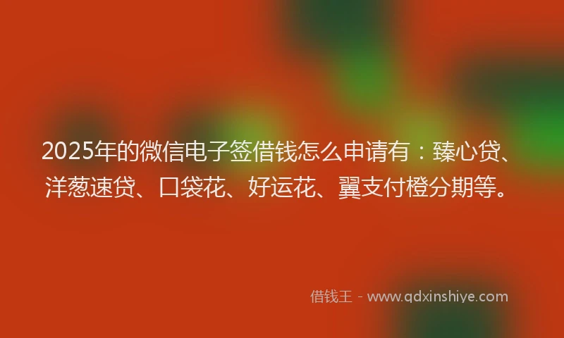 2025年的微信电子签借钱怎么申请有：臻心贷、洋葱速贷、口袋花、好运花、翼支付橙分期等。