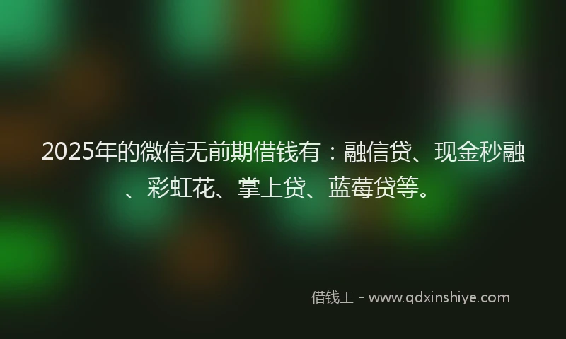 2025年的微信无前期借钱有：融信贷、现金秒融、彩虹花、掌上贷、蓝莓贷等。