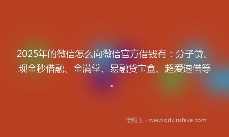 2025年的微信怎么向微信官方借钱有：分子贷、现金秒借融、金满堂、易融贷宝盒、超爱速借等。
