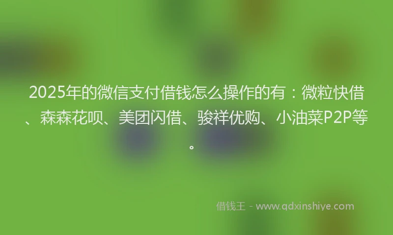 2025年的微信支付借钱怎么操作的有：微粒快借、森森花呗、美团闪借、骏祥优购、小油菜P2P等。