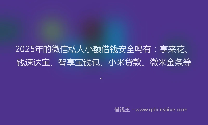 2025年的微信私人小额借钱安全吗有：享来花、钱速达宝、智享宝钱包、小米贷款、微米金条等。