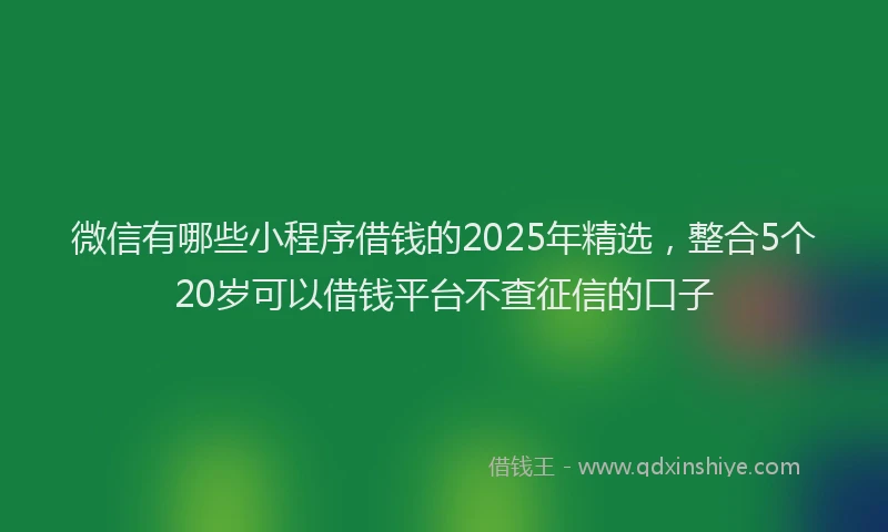 微信有哪些小程序借钱的2025年精选，整合5个20岁可以借钱平台不查征信的口子