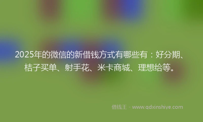 2025年的微信的新借钱方式有哪些有：好分期、桔子买单、射手花、米卡商城、理想给等。