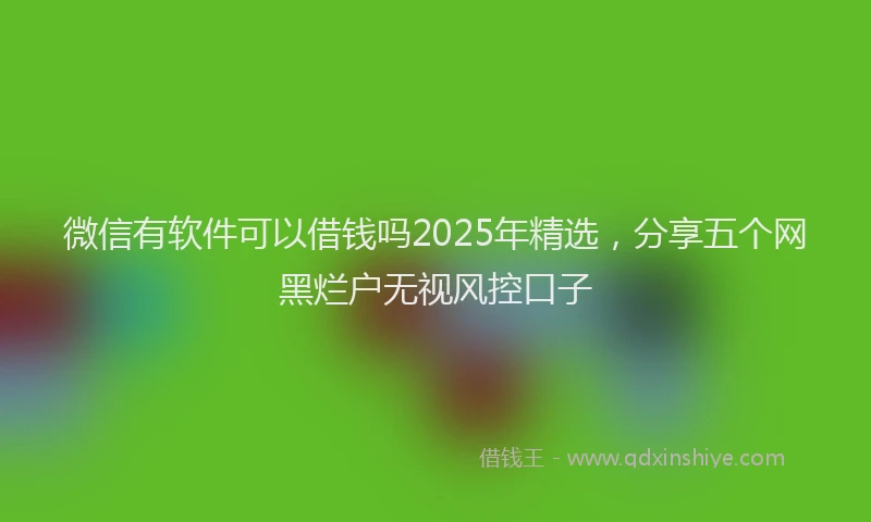 微信有软件可以借钱吗2025年精选，分享五个网黑烂户无视风控口子