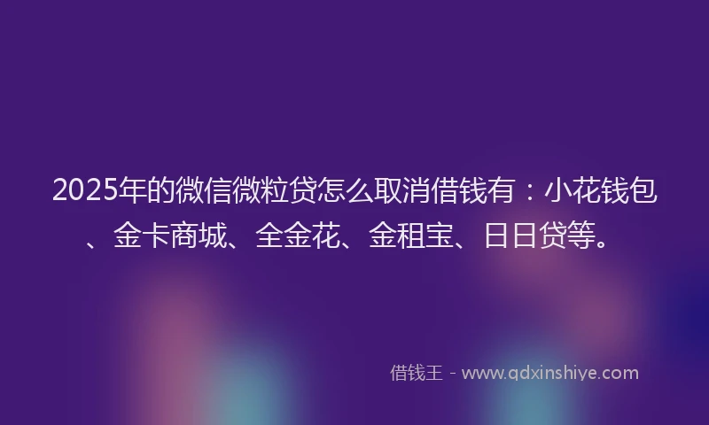 2025年的微信微粒贷怎么取消借钱有：小花钱包、金卡商城、全金花、金租宝、日日贷等。