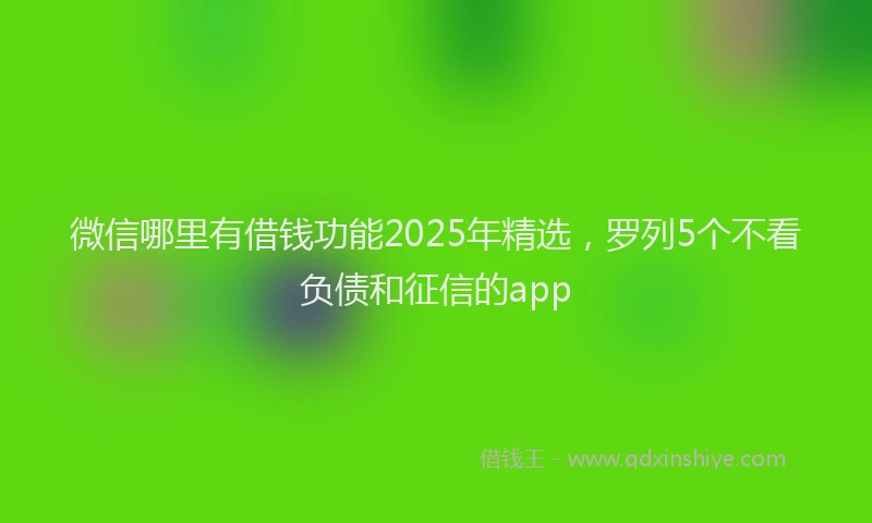 微信哪里有借钱功能2025年精选，罗列5个不看负债和征信的app